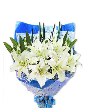 Lovely Lilies